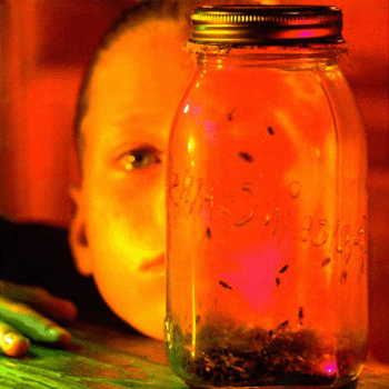 Alice in Chains - Jar of Flies (1994)