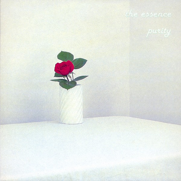 Cover of Purity